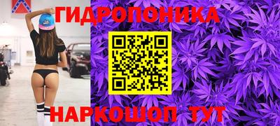 ECSTASY Чебоксары