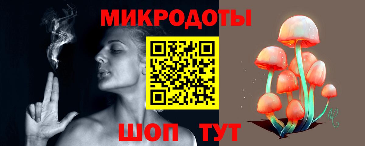 Галлюциногенные грибы Psilocybe Сунжа